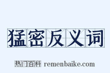 猛密反义词是什么意思的图片